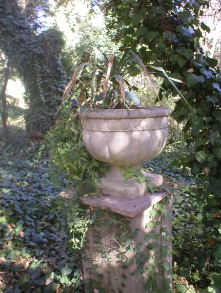 flower pot.JPG